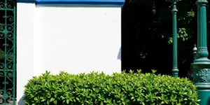 Concurso da Unirio com edital na terça e provas em fevereiro!